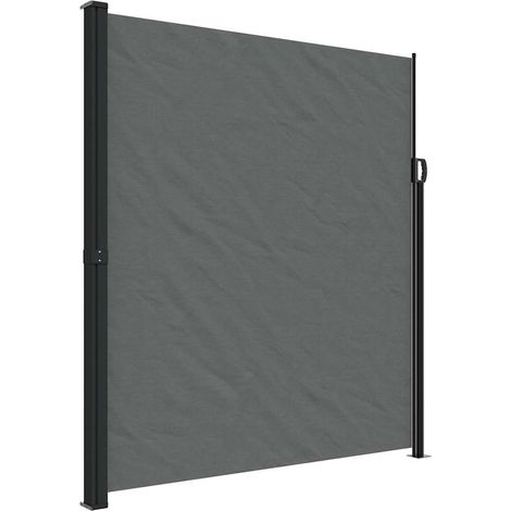 Maison Exclusive - Tenda da sole laterale retrattile antracite 220x300 cm (1/5)