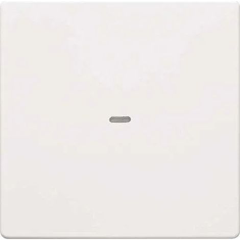 Plaque de finition Berker 80960229 fixe compatible bus système blanche