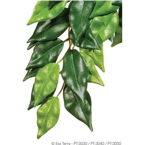 Terrario exo-terra ficus planta artificial 25x40 cm realista (1/2)