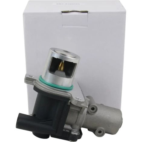 Vanne EGR, Construction Métallique, Design Compact, Compatible avec LOGAN MEGANE KANGOO, Optimise l'Efficacité du Moteur (1/5)