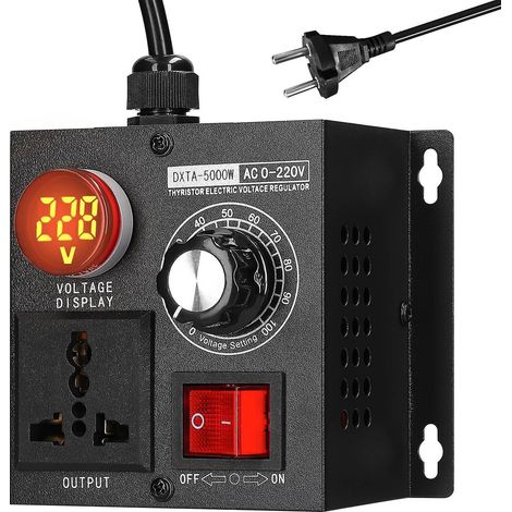 Régulateur de tension continu AC220V 5000W portable monophasé variable avec protection contre les variations de température
