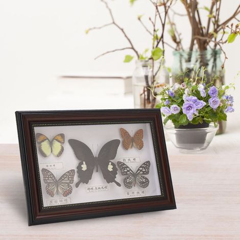 Papillons exquis, spécimen d'insecte, artisanat, cadeau d'anniversaire, décoration intérieure (cadre noir) (1/5)