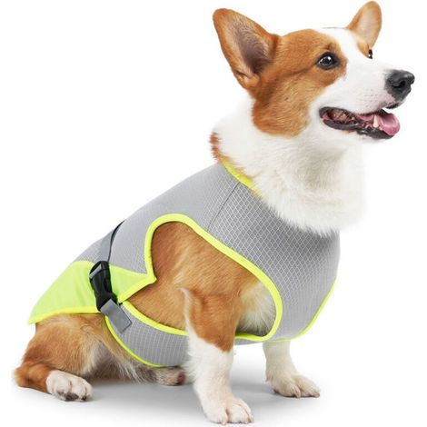 Gilet rafraîchissant pour chien, gris clair - Taille L