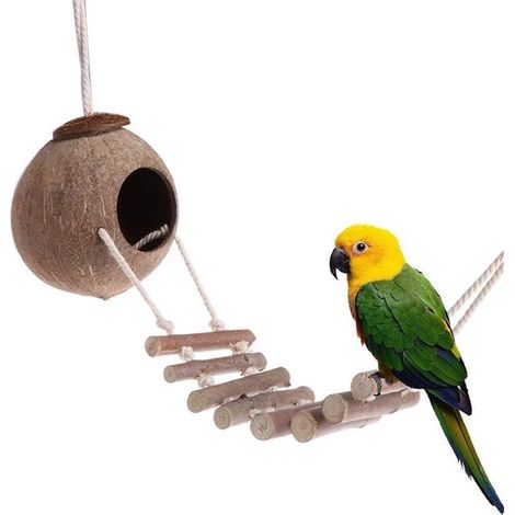 Nid d'oiseau naturel en coquille de noix de coco avec corde en bois pour oiseaux, perroquets, perruches, hamster (2) (1/5)