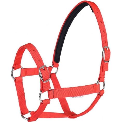 Equitation Equitation Épaissie Collier de tête de Cheval Réglable Sécurité Halter Bridle Headle Headcollar Racing Equipment Equipment Equipement Corde (1/5)