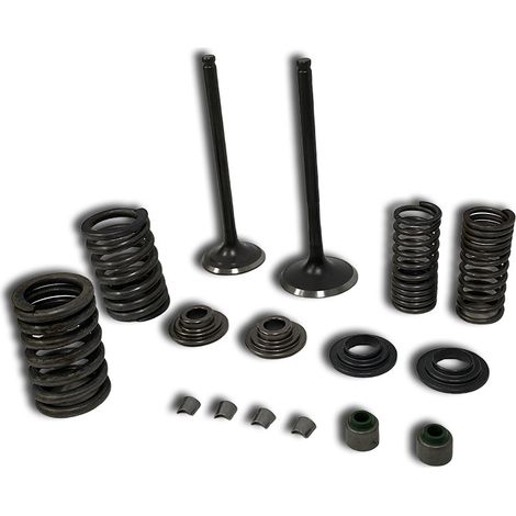 Ressorts de soupapes de moteur de moto adaptés aux soupapes Honda CBF150, XR150, KTT150 et SDH150. (1/4)
