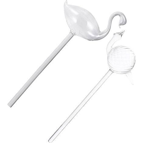 Lot de 2 tuteurs en verre à arrosage automatique pour plantes d'intérieur et d'extérieur (1/5)
