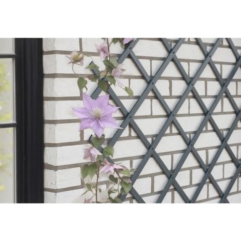 TREILLIS EXTENSIBLE - NATURE - EN PLASTIQUE ANTHRACITE - 100 X 200 CM (1/3)