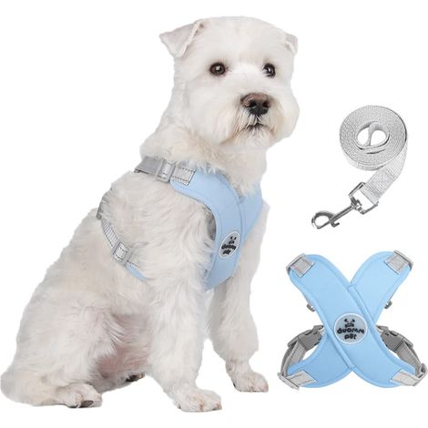Harnais pour chien, harnais réglable de type gilet pour animaux, adapté à la promenade et au dressage des chiens et chats de petite à moyenne taille (Taille L, Bleu) (1/5)