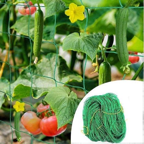 Filet de support pour plantes grimpantes, treillis de jardin 2 m x 5 m, filet de fixation pour plantes grimpantes, filet de jardin pour légumes, tomates, concombres (1/5)