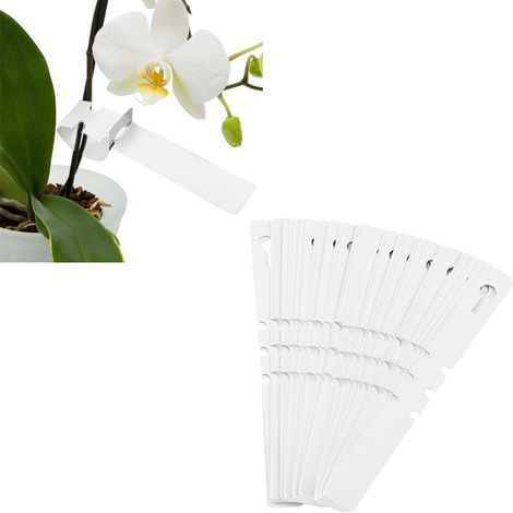 Étiquettes de piquet de pelouse en plastique, 100 pièces, décorations de jardin, plantes, ornements de pelouse, blanc (1/5)
