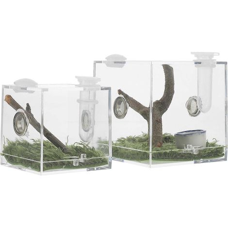 Lot de 2 boîtes transparentes pour araignées sauteuses, habitat pour araignées sauteuses, boîtes à insectes en acrylique-6.8x6.8cm