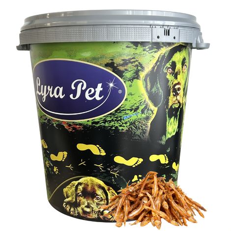 5 kg de petits poissons Lyra Pet® en bac de 30 L
