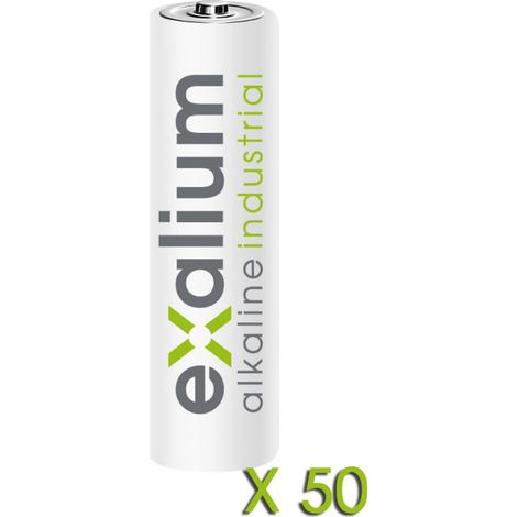 Pile Alcaline Exalium Industrial LR06 Boite de 50