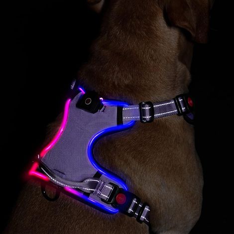 Harnais pour chien lumineux à LED : gilet réglable réfléchissant avec harnais pour animaux de compagnie rechargeable et sans étranglement, poignée de contrôle facile (violet, M) (1/5)