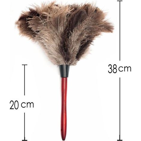 Duster multifunctional portable with handle for the cleaning of the home and of the car. Design ergonomic for a dusting easy. (1/5)