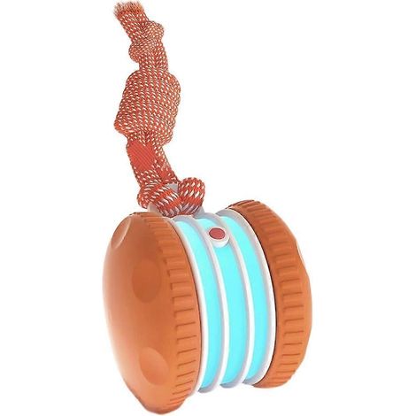 Interactive chien jouets, Motion-Activated électrique Rolling jouet pour chien avec Rope, Random Path Stimulation pour (1/5)