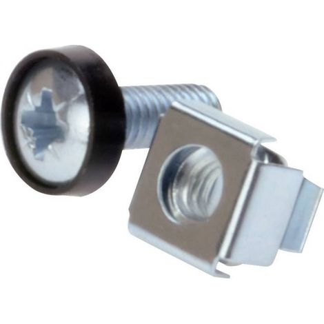 Tornillos de montaje Digitus M6 de 19,8 mm (juego) para componentes de rack de 10" y 19", juego de 50, color plata. (1/5)
