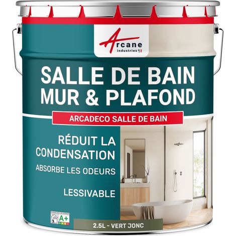 Peinture salle de bain, mur et plafond, condensation - 2.5 L Vert jonc - RAL 6013 - ARCANE INDUSTRIES