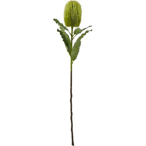 Large Banksia Serrata (Single Stem Flower) - Plastic - Height 65 cm - Green