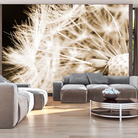 Fotomurale - Dandelion - sepia - 350x245 (1/4)