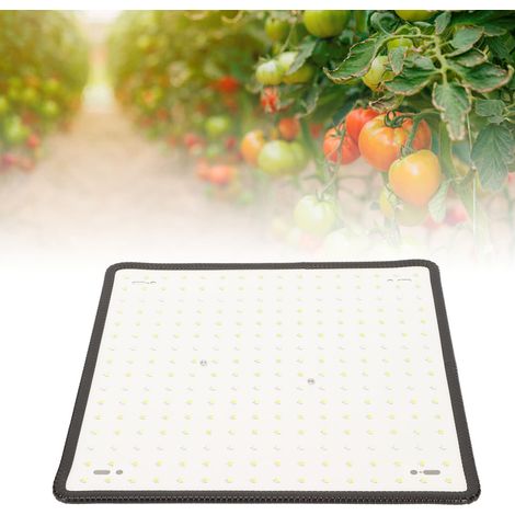 1000-W-LED-Pflanzenlampe, Zusatzbeleuchtung für Sämlinge, rotes und blaues Lichtspektrum, Quantum Panel für den Indoor-Anbau, europäischer Standard 85–265 V (1/5)