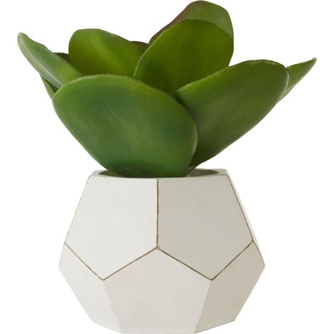 Premier Housewares Fiori White Cement Pot Succulent (1/5)