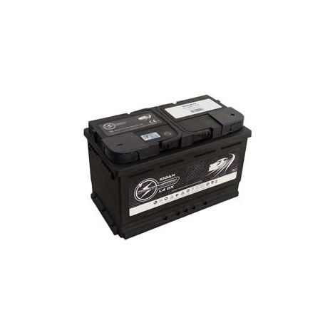 BATTERIA PER AUTO- - 100 Ah - cm.17,5x31,5x19h. - spunto 720A - 1 pezzi SANDRIGARDEN
