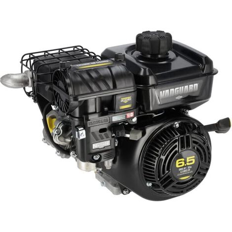 Moteur BRIGGS & STRATTON 12V3320034F1 (1/5)