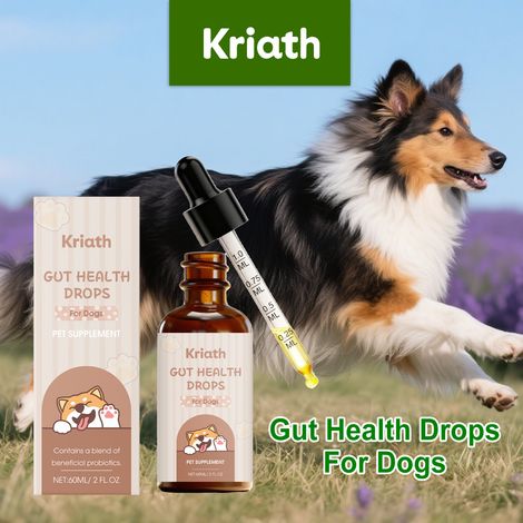 Gouttes probiotiques pour la santé intestinale du chien - Facilement absorbées, douces pour l'intestin du chien - 60 ml (1/5)