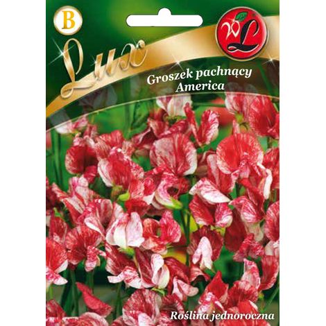 Pisello odoroso America Multicolor 5g Semi di legume (1/2)