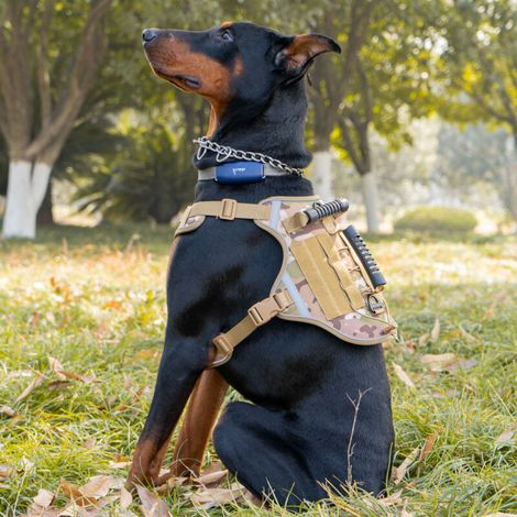 Pettorina per cani a due maniglie, per cani di taglia media e grande, gilet antiproiettile, ideale per l'addestramento all'aperto, verde militare, senza bandierina, taglia XL. (1/4)