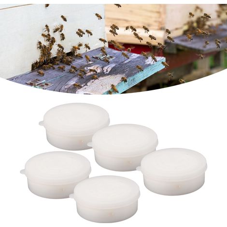 Fünf Mini-Antimilbenschalen für Bienenstöcke sowie ein medizinisches Begasungsspray für Bienen zur Bekämpfung und Abtötung von Milben, Imkereigeräte. (1/5)