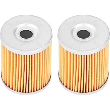 Lot de 2 Filtres à Huile Moteur 0800-011300 Remplacement D'accessoires ATV pour UForce ZForce (1/5)