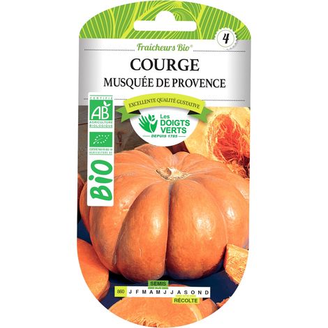 Graines courge musquée Provence BIO Les Doigts Verts