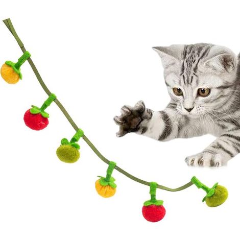 Jouet pour chat – Interactif – Résistant aux morsures – Herbe à chat – Stimulation mentale (1/5)