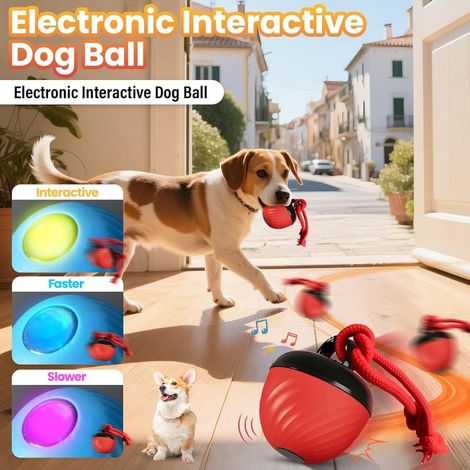 Intelligenter rollender Hundeball – Interaktives Spielzeug mit Seilen zum Kauen, zur geistigen Anregung und gegen Langeweile für Welpen und erwachsene Hunde (Blau) (1/5)