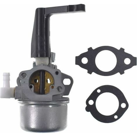 Carburateur de remplacement avec kit de joints pour Briggs & Stratton 696065 697422 110402-0206-E1 (1/5)