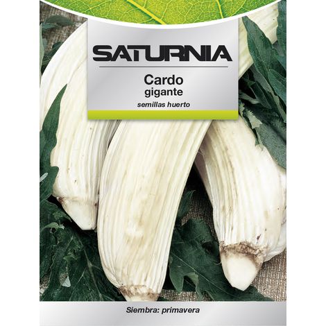SATURNIA Chardon Orchard Seeds, 8093663 (1/2)
