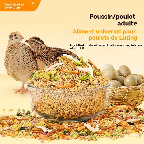 Aliment pour perdrix de bambou - Formule adaptée à chaque stade de développement - Convient aux poussins et aux poules pondeuses