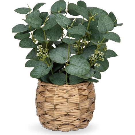 Kunstpflanze Eukalyptus im Topf, 28 cm, Grün, Dekoration für Zuhause (1/5)