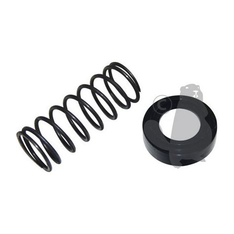 CONJUNTO ANILLO MUELLE RIF 1608137 COMPATIBLE
