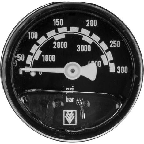 Manometro 0-300 BAR Kärcher 6.421-214.0 (1/3)