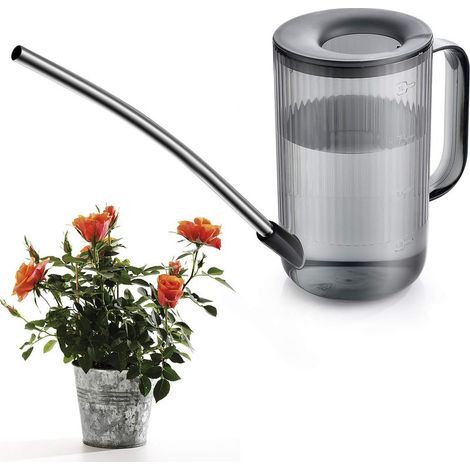 Petit arrosoir, Arrosoir pour Plantes d'intérieur Petit arrosoir pour Plantes de Jardin, Arrosoir Long Bec Arrosoir à Fleurs Plantes D'intérieur et D'extérieur Plantes De Jardin Outil (Grise)-Fei Yu (1/5)