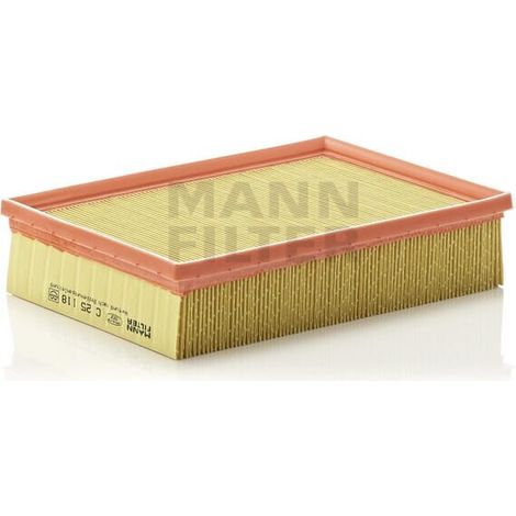 Filtre à air Mann Filter C25118