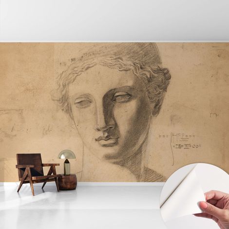 Fototapete Selbstklebend - Wanddekoration - Wandfolie - 3D Tapete Wand - Wohnungsdeko Frauenporträt 416x254 cm (1/5)