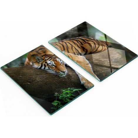 Tableaux décoratifs en verre multifonctionnels Tigre sur un arbre 2x40x52 cm (1/5)