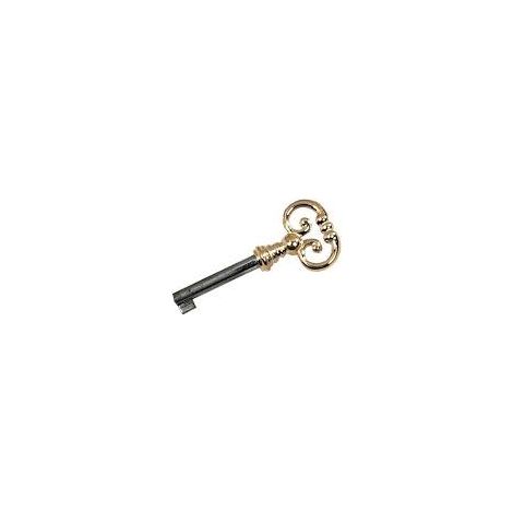 Clé 1520 DUBOIS SAS - Fer poli - Tige 40 mm - Paneton ajusté - 150004 (1/3)