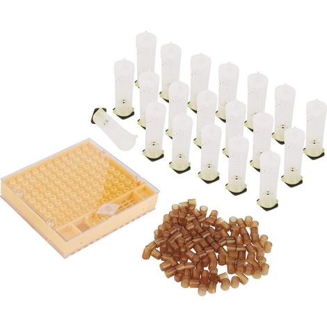 Gabbia per ape regina – nido d'ape – atossica – resistente – apicoltura domestica