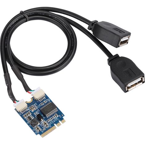 Carte d'extension M.2 NGFF vers double port USB 2.0, adaptateur câble pour clés A et E (1/5)